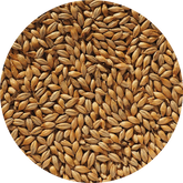 Crisp Best Pale Ale Malt