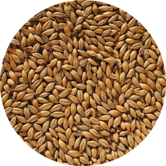 Crisp Finest Maris Otter Ale Malt