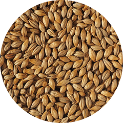 Crisp Dextrin Malt