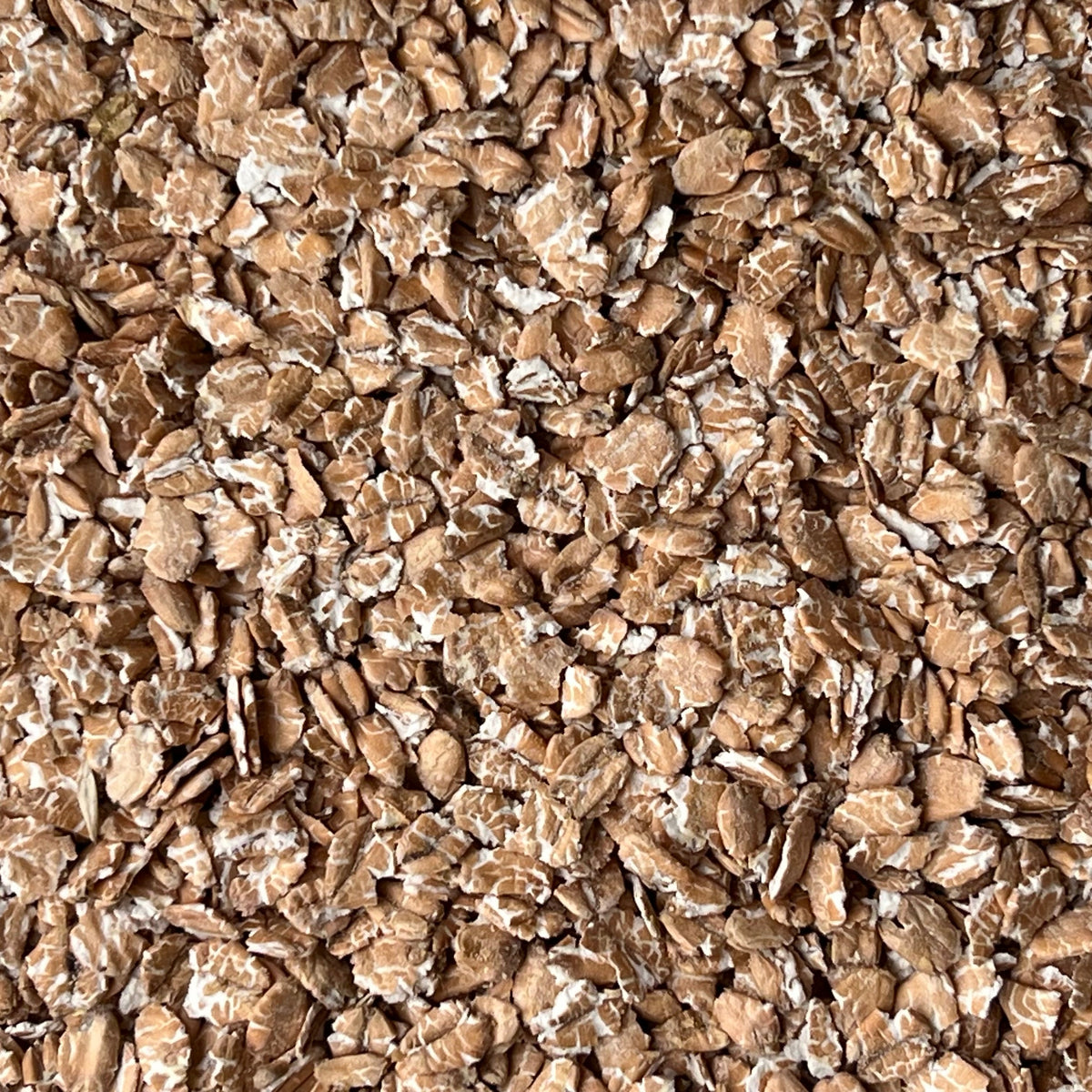 Deluxe Flaked Torrefied Wheat