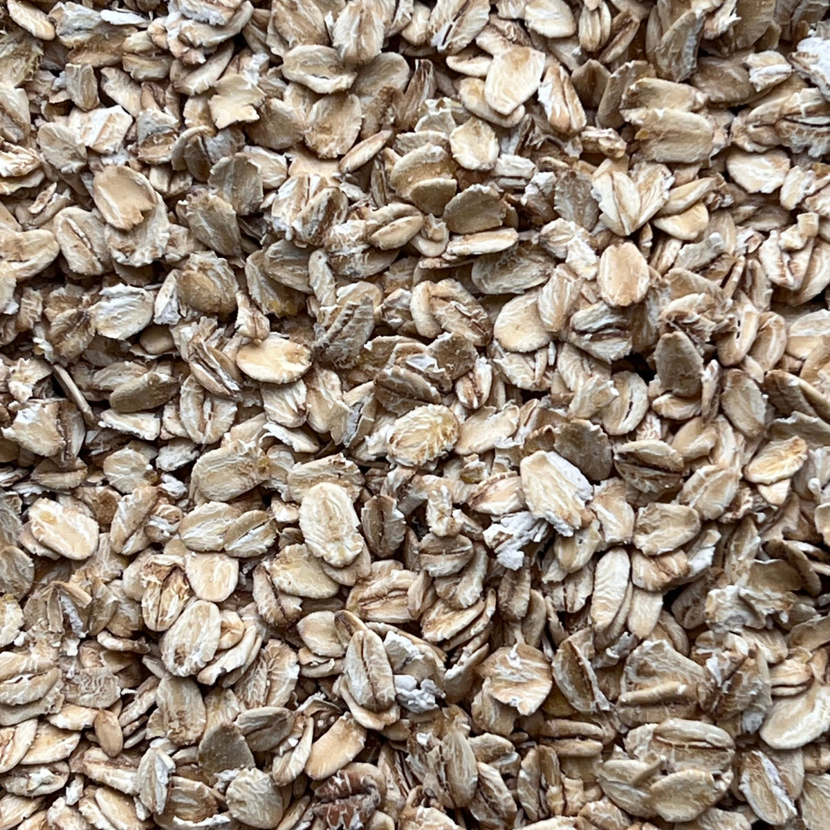 Jumbo Flaked Naked Oats