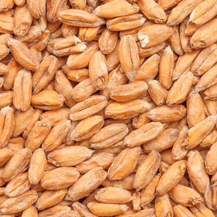 BESTMALZ BEST Spelt Malt
