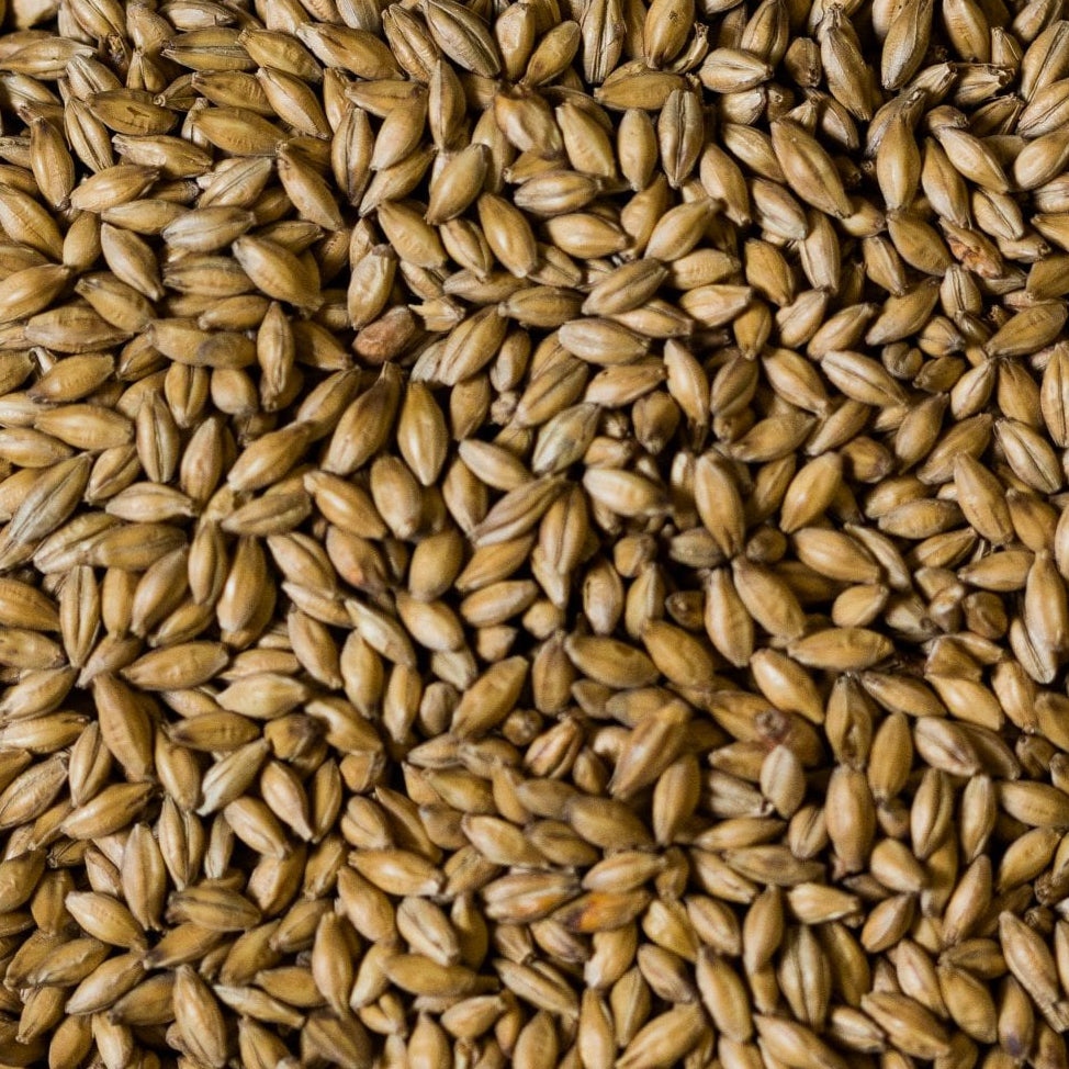 Bairds Maris Otter Malt