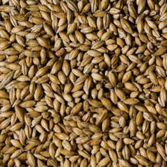 Bairds Maris Otter Malt