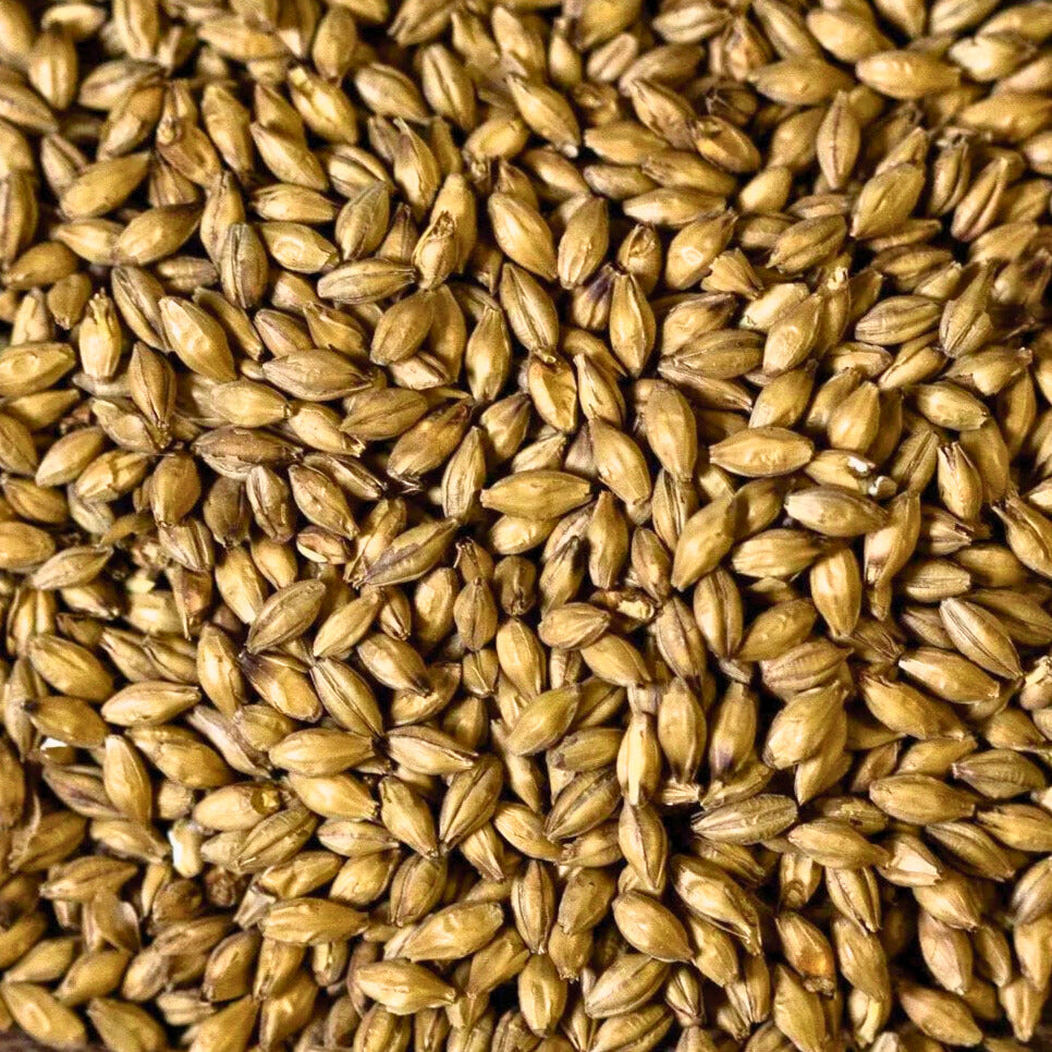 Bairds Malt Scottish Ale Malt