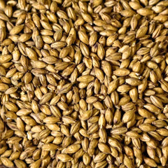 Bairds Malt Scottish Ale Malt