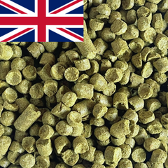 Ernest T90 pellets 2023
