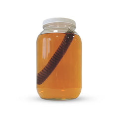 HS 1 US Gallon Glass Jar & Lid