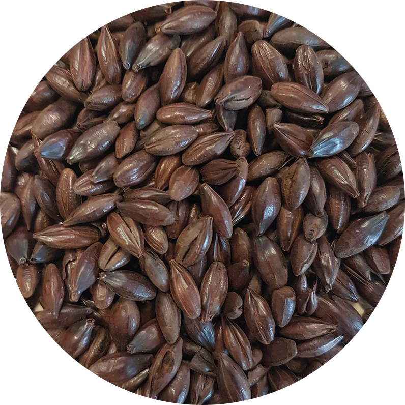 Crisp Black Malt