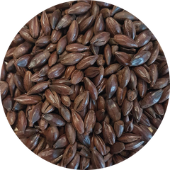 Crisp Black Malt