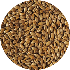 Crisp Cara Gold Malt