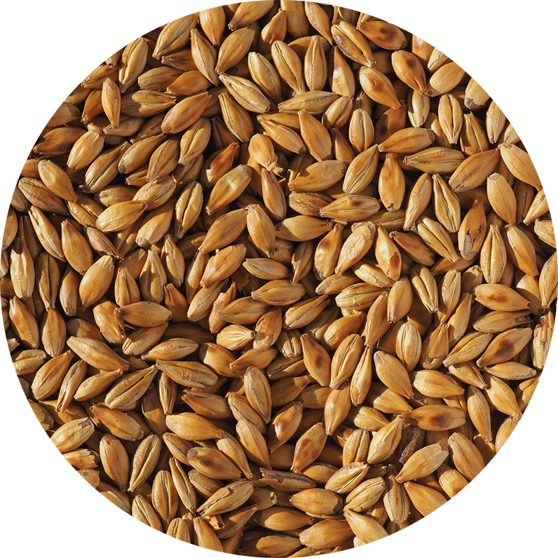 Crisp Cara Malt
