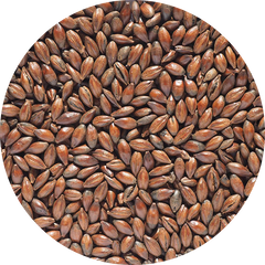 Crisp Chocolate Malt