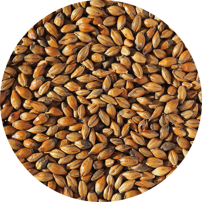Crisp Brown Malt