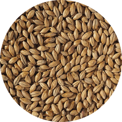 Crisp Clear Choice Pale Malt