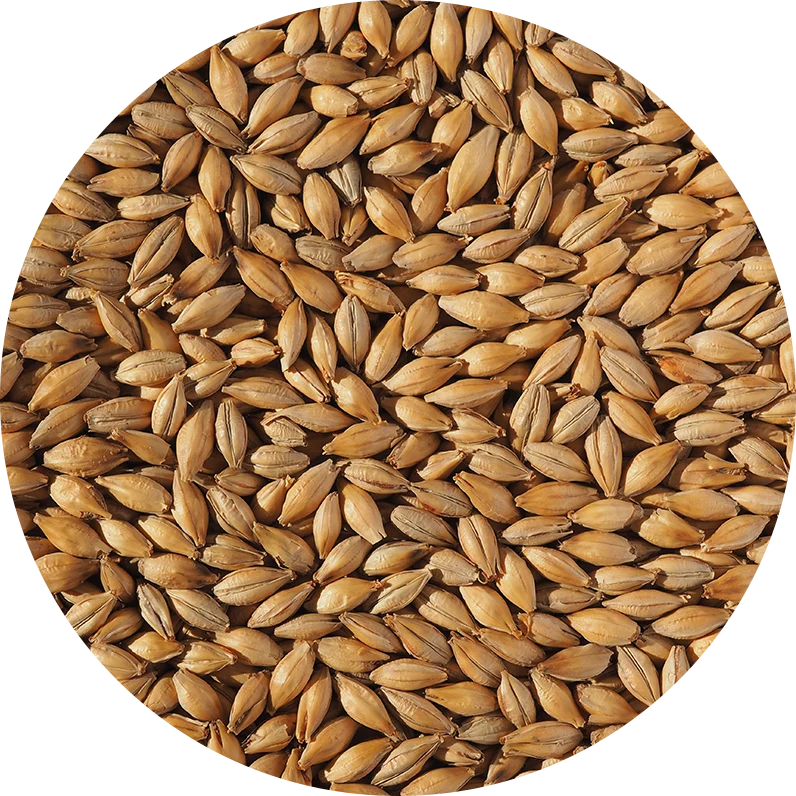 Crisp Extra Pale Maris Otter Malt