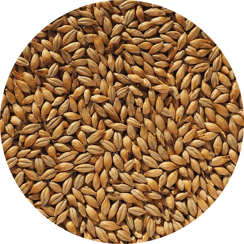 Crisp Finest Maris Otter Ale Malt