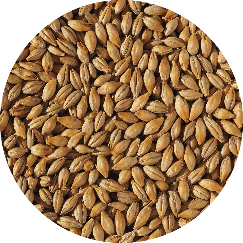 Crisp Dextrin Malt