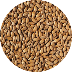 Crisp Lager Malt