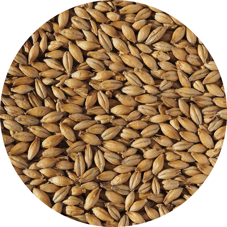 Crisp Extra Pale Ale Malt