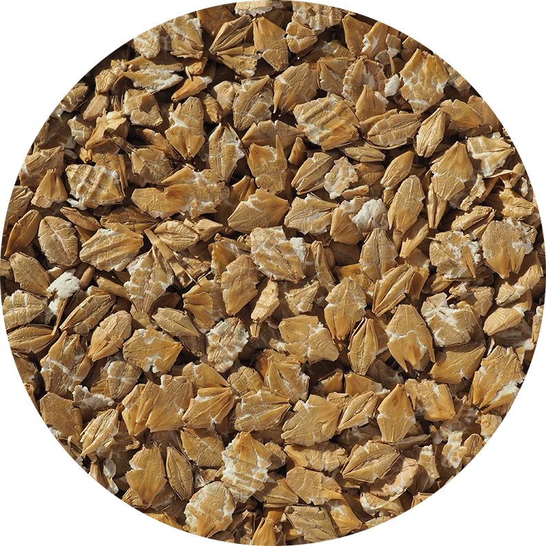 Crisp Flaked Torrefied Barley
