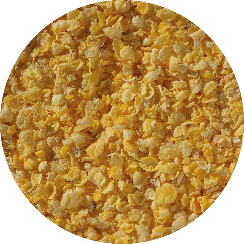 Crisp Flaked Torrefied Maize