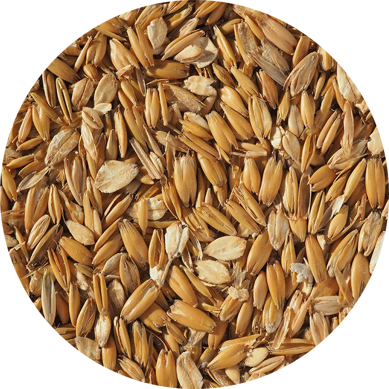 Crisp Flaked Torrefied Oats (including husk)