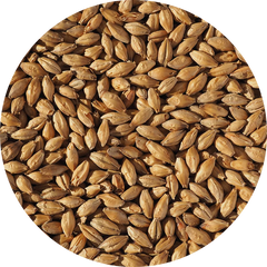 Crisp Light Munich Malt