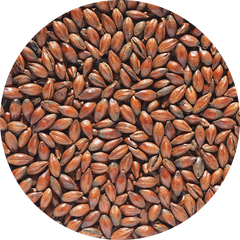 Crisp Low Colour Chocolate Malt