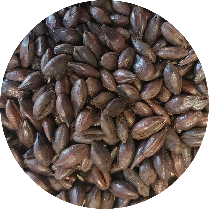 Crisp Roasted Barley