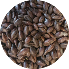 Crisp Roasted Barley