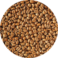Crisp Torrefied Wheat