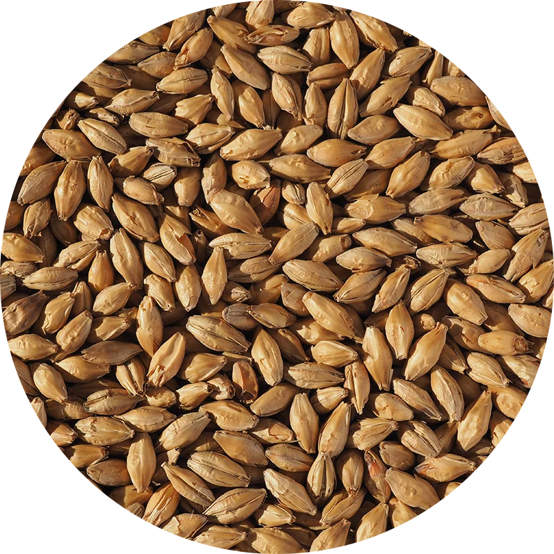 Crisp Vienna Malt