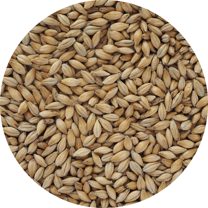 Crisp Hana Malt