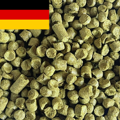 Hallertau Blanc T90 pellets 2024
